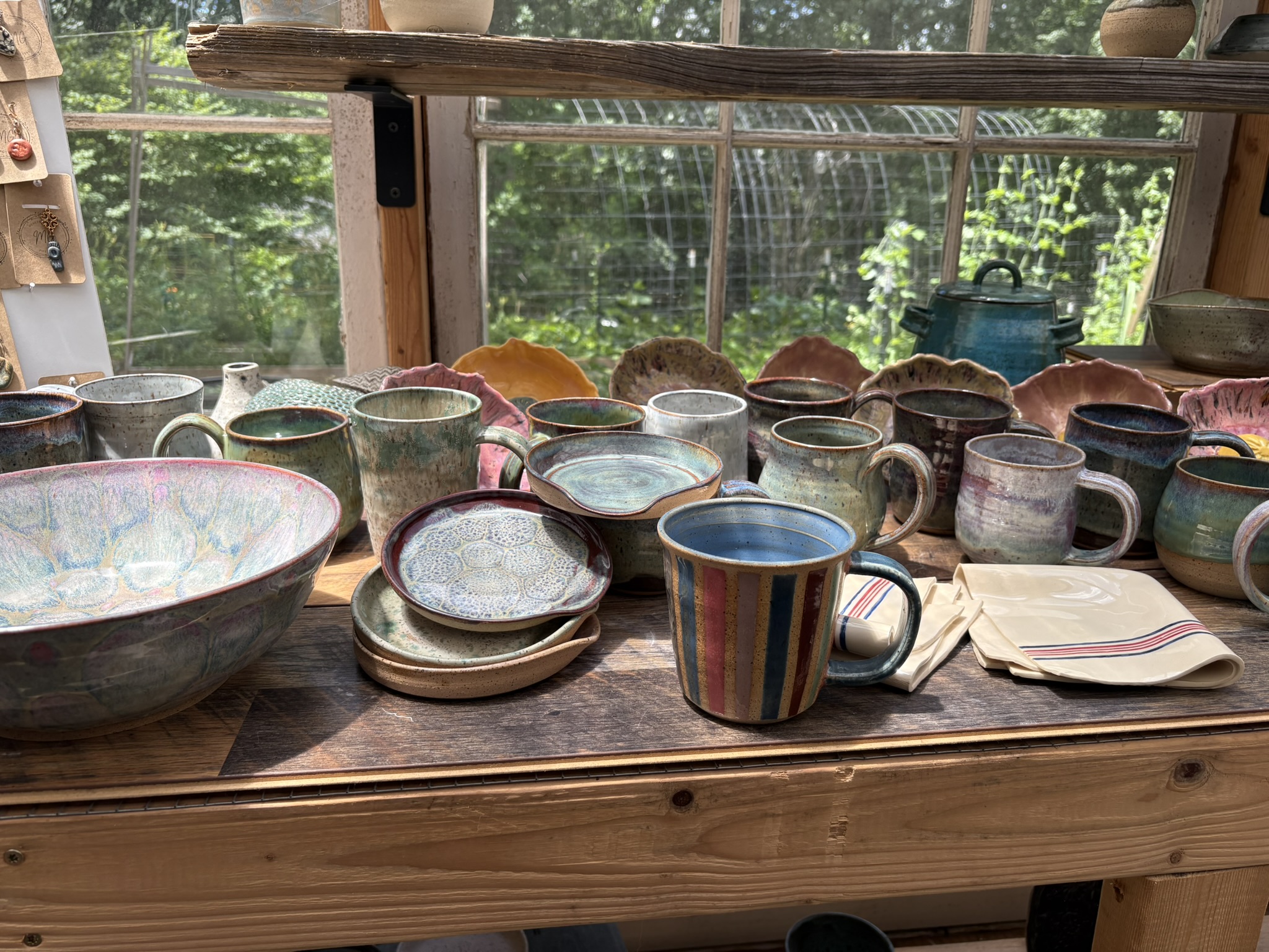 A large collection of mugs and bowls displayed in greenhouse windows